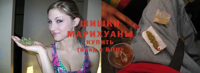 купить наркотики цена  Троицк  Бошки марихуана план 